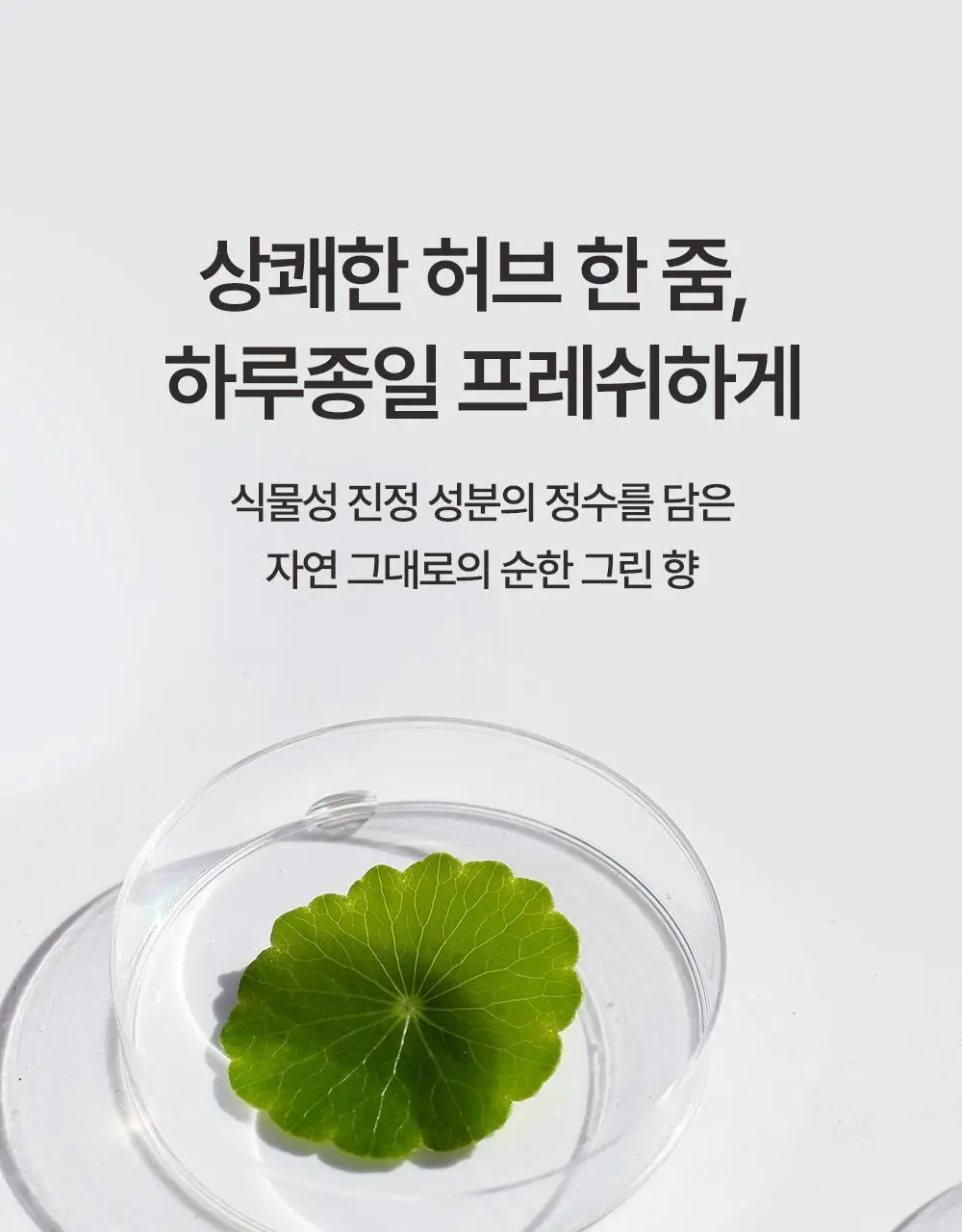 [유분1초컷] 무백 시카 노세범 헤어 파우더 5g 상세페이지 14